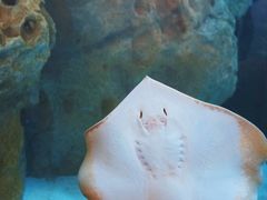 -珠海长隆海洋王国