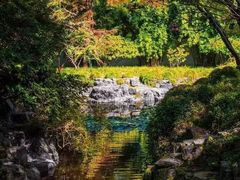 -上海醉白池公园