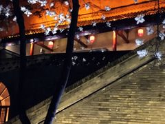 -西安曲江寒窑遗址公园