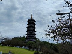 -重庆园博园