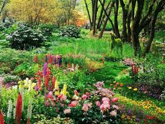 -上海共青森林公园