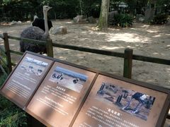 -绿野餐厅(上海动物园店)