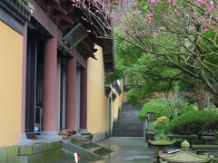 -慧因高丽寺