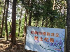 -四明山国家森林公园