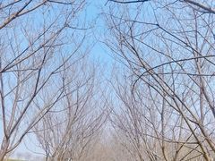 -凤凰沟景区