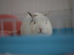 -达爱动物医院·犬猫分区·CT·复杂眼科(远洋山水分院)