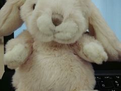 -文艺复兴百货(米兰大教堂广场店)