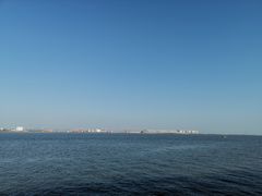 -大湾区中央湿地公园