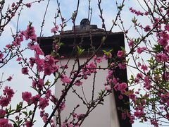 -乌山风景区