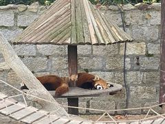 -上海野生动物园