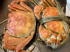 -蟹天蟹地农家菜·阳澄湖大闸蟹(浅水湾店)