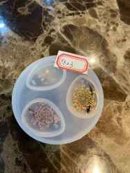 -保丽宝泰母婴护理院·月子中心·产康·中医(常州店)