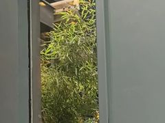 -福照楼汽锅鸡·云南菜(万达广场店)