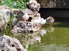 -石景山区图书馆(八角南路)