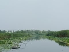 -白洋淀景区