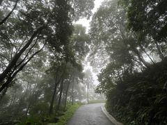-广州市帽峰山景区
