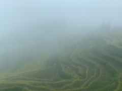 -紫鹊界梯田景区