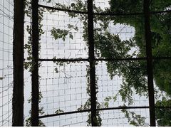 -福州动物园