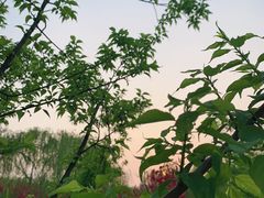 -滨湖塘西河公园