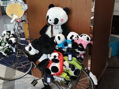 -上海北方智选假日酒店