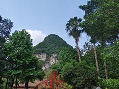 -柳州市动物园
