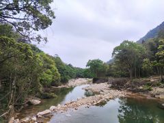 -姑婆山旅游区
