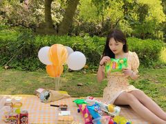 -南宁良凤江国家森林公园