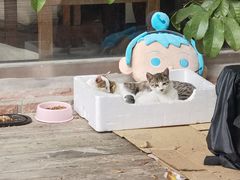 -梁记粥铺(开元地中海店)