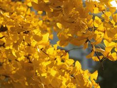 -上海交通大学(闵行校区)