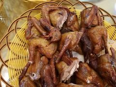 -鸽王世家(东华东路店)