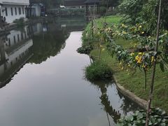 -渭塘酒家(生态园店)