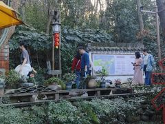 -天目湖山水园