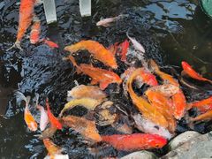 -上海大自然野生昆虫馆(东方明珠·爬宠昆虫探索中心)