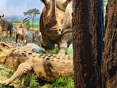 -国家自然博物馆