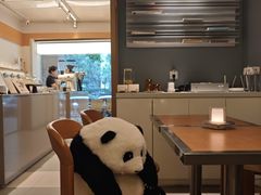 -轩客会(熊猫书店)