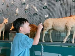 -中国湿地博物馆