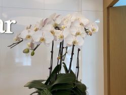 -Yestar杭州艺星医疗美容医院
