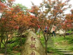 -广州市帽峰山景区
