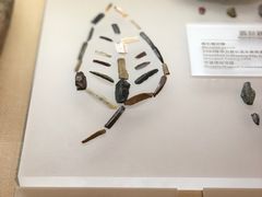 -宁夏博物馆