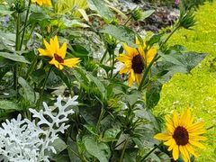 -山东省千佛山医院