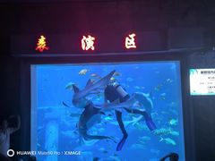 -太平洋海底世界