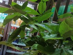 -湘当爱·鲜煮现炒(松岗立业路店)