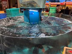 -魏铭鱼头捞饭(晋阳路店)