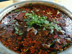 -胖大姐黄辣丁鱼庄(新津店)