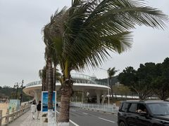 -野狸岛