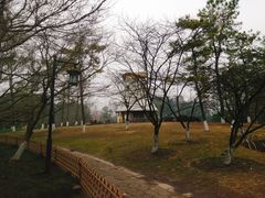 -九曜山