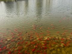 -西海子公园