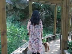 -大岭沟猕猴桃谷风景区