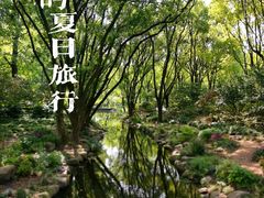 -上海共青森林公园