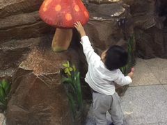 -上海大自然野生昆虫馆(东方明珠·爬宠昆虫探索中心)